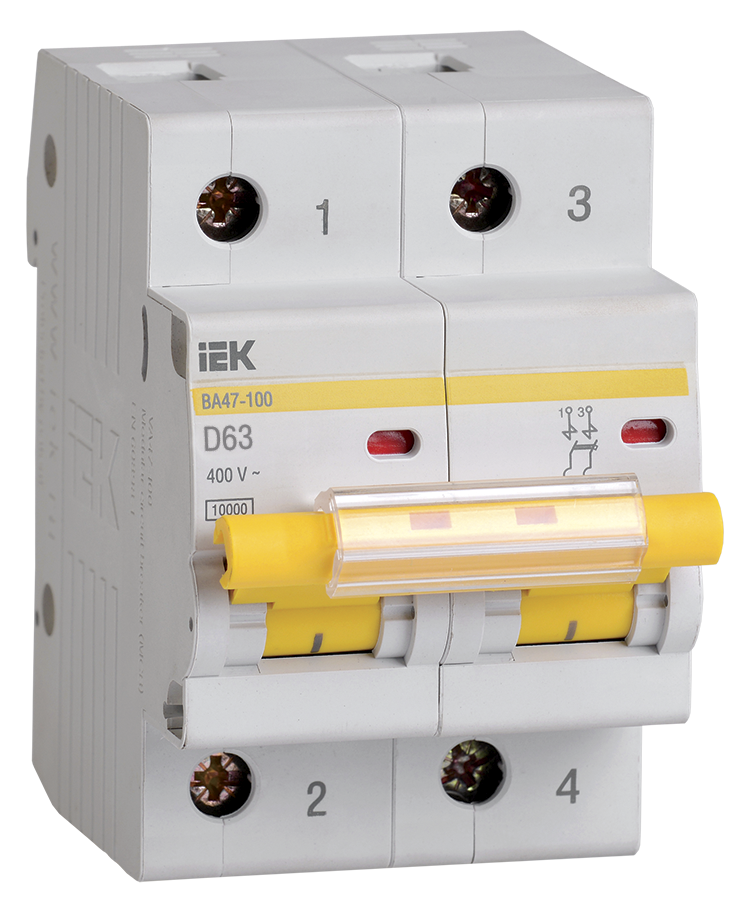 Автомат 1 ампера цена. Автоматический выключатель IEK ва47-29 2п,. Mnv10-3-063 IEK. Автоматический выключатель IEK 1п 20а. Ba47-29 IEK c40.